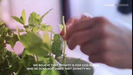 10 Things You Don't Know About Islam