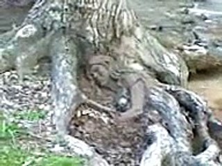 wow Islamic Mojza - Woman Converted in to Plant Roots