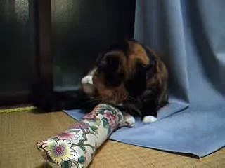 Get New Shirts at AH Shirts! 👕