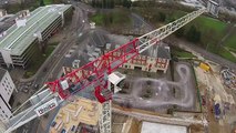 Crane from above with a DJI Phantom