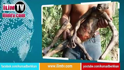 İLGİNÇ YARATIKLAR