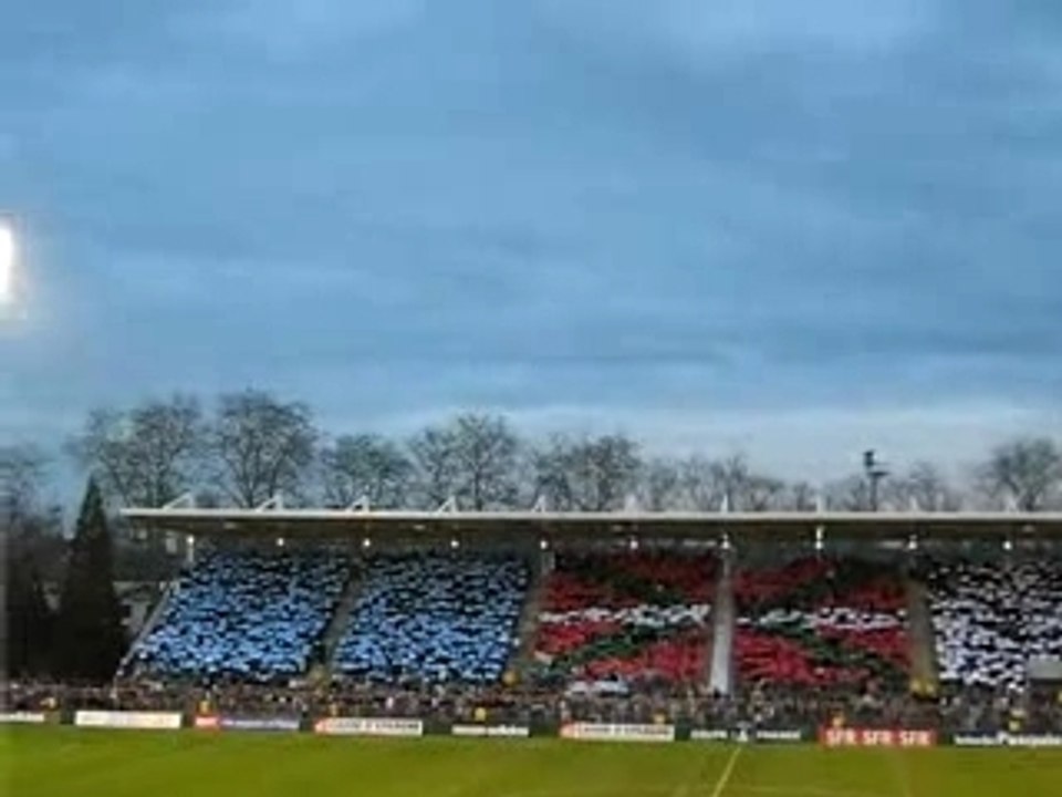 Tifo AB-OL