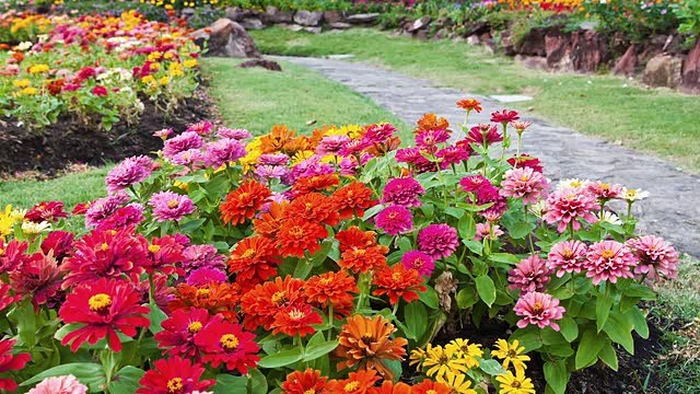 The Best Gardening Services