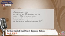 Nel Blue Dipinto Di Blue (Volare) - Domenico Modugno Vocal Backing Track with chords and lyrics