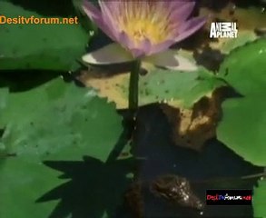 Hunters 22nd July 2014 Video Watch Online Pt2