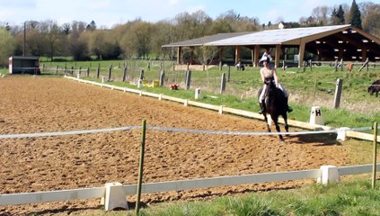Reprise de dressage *vue par Nérine*