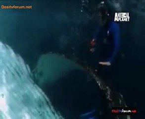 Untamed & Uncut 11th September 2014 Video Watch Online Pt2