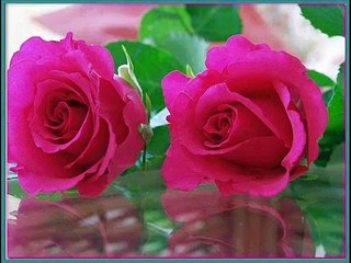 hakan öz gül ve çiçek varmiş