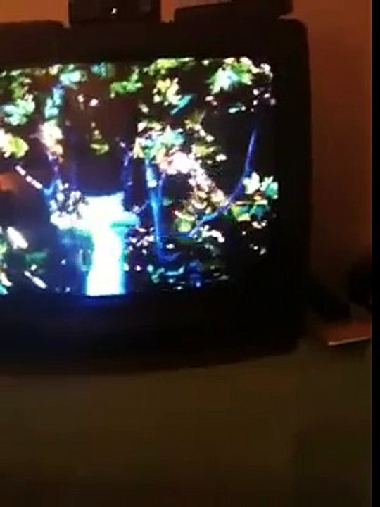 Baby Einstein Baby da Vinci Part 1 of 3 video Dailymotion