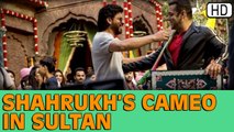 Shahrukh Khan's Cameo In Salman Khan's 'Sultan'