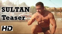 Sultan | Teaser | Salman Khan | Anushka Sharma | Review