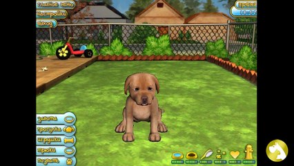 Игры для любителей собак