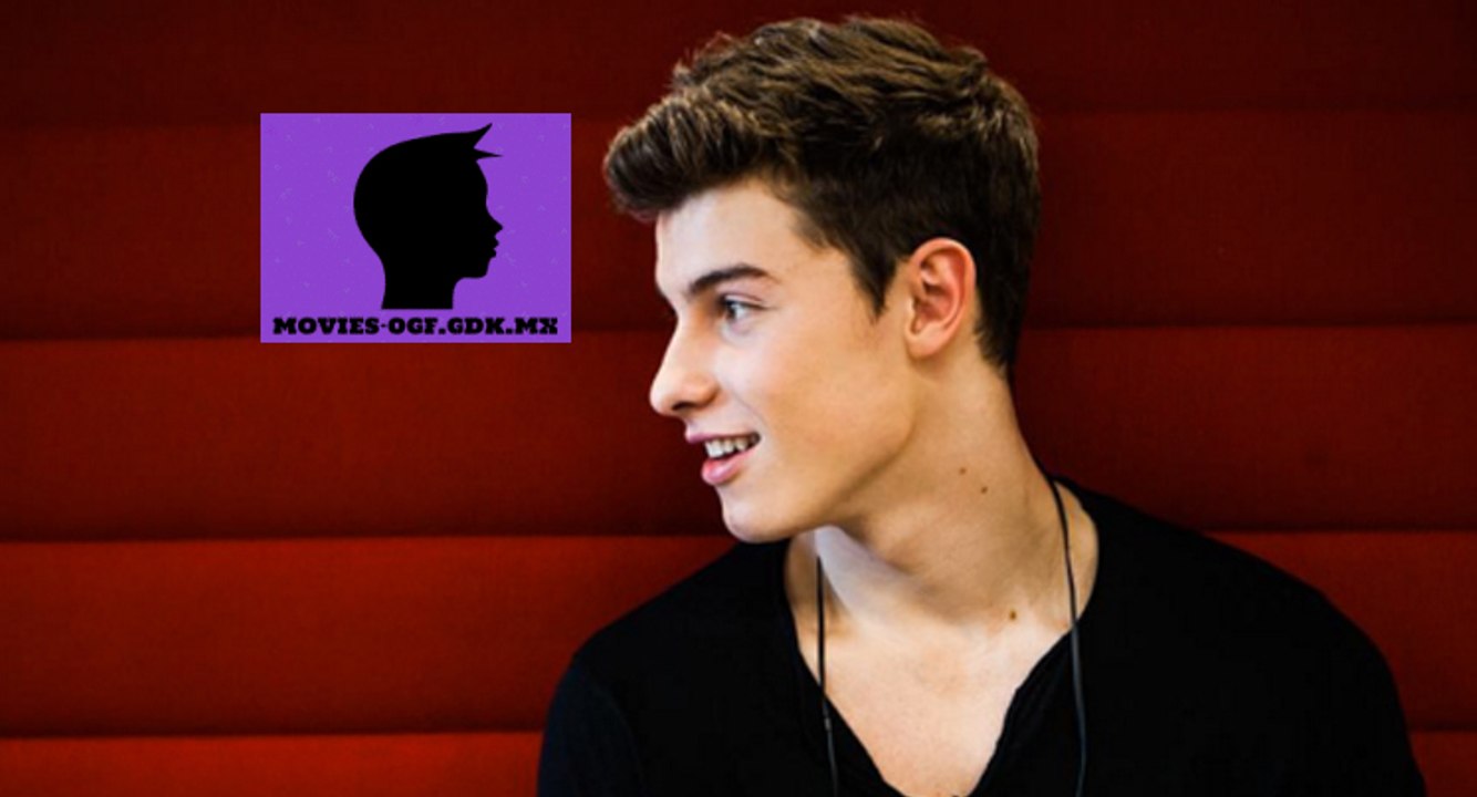 Shawn Mendes - Show You