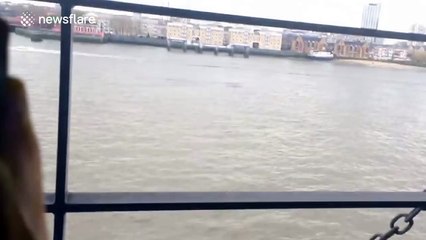 Second alleged sighting of mysterious Thames 'creature'