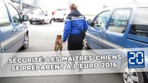 Les maîtres-chiens de l'aéroport de Lille se préparent à l'Euro 2016