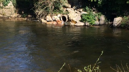 Pollution au beurre dans l'Odet