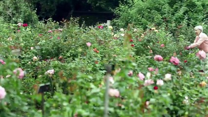 Los cien años de IBM