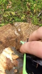 Elle détruit les téléphones de ses enfants à l'aide d'un fusil