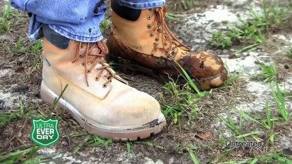 Power of Nanotechnology Video