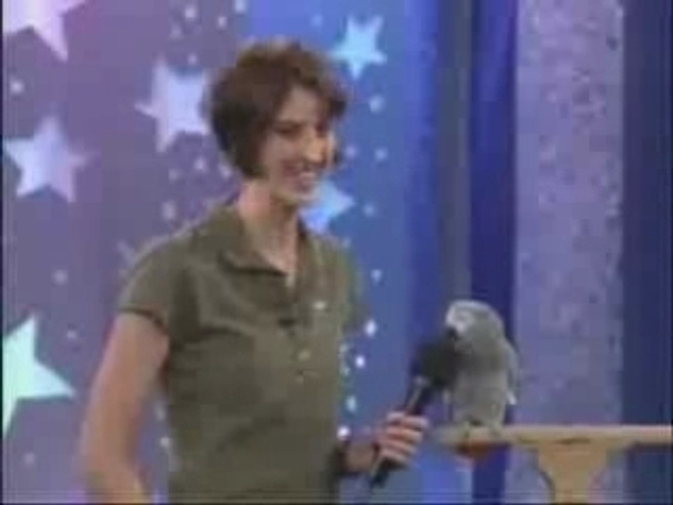 Einstein the bird