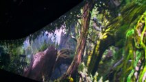 King Kong 360 3D Universal Studios Full Ride (HD POV)