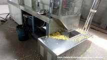 Corn flakes & grain flakes making machine    Also can produce rice flakes or other grain flakes