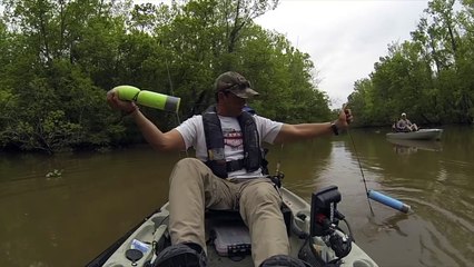 Une pêche innatendue en pleine mangrove