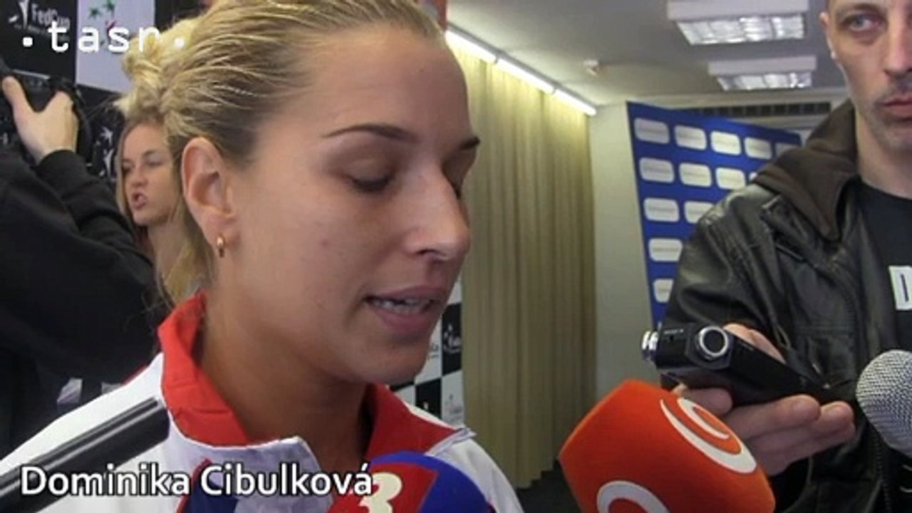 D.Cibulková: Na turnaj do Katovíc som ani nechcela ísť a vyhrala som ho