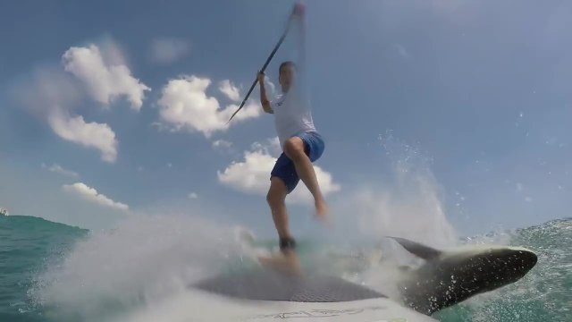 Un surfeur en paddle se fait heurter par un requin en Floride