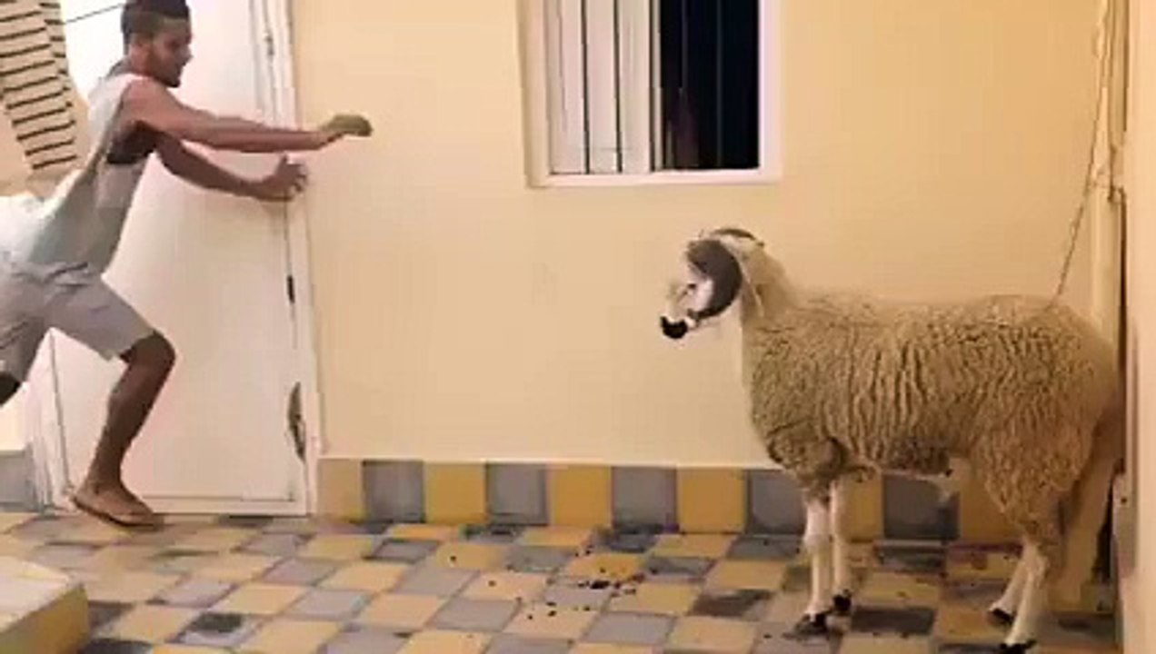 janwer ko tang kare ka anjaam dekhiye zara,, - Video Dailymotion