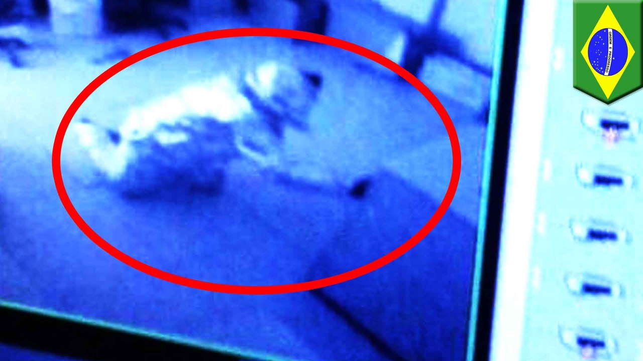 Burglars use tinfoil suits to avoid bank's alarm sensors, can't hide from security cameras