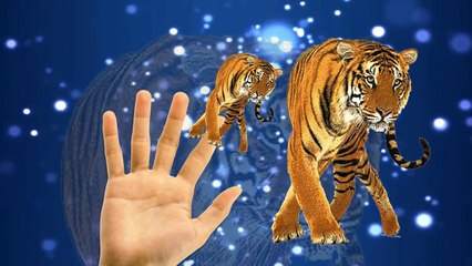Animals Cartoons For Children Nursery Rhymes Finger Family | Animals Cartoons Finger Family