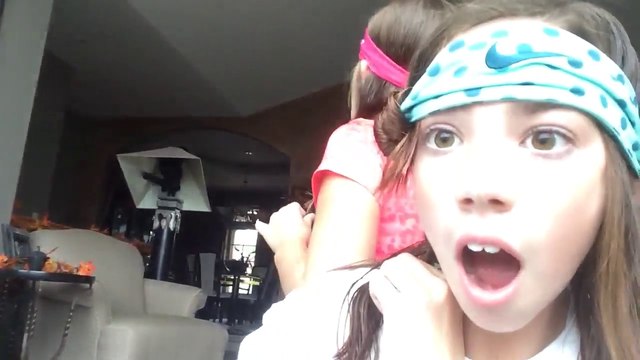 Un chat se coince la tête dans une lampe