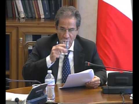 Roma - Audizioni sugli Enti previdenziali privatizzati (11.04.16)