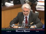 Roma - Adozioni e affido audizioni di Associazioni (11.04.16)