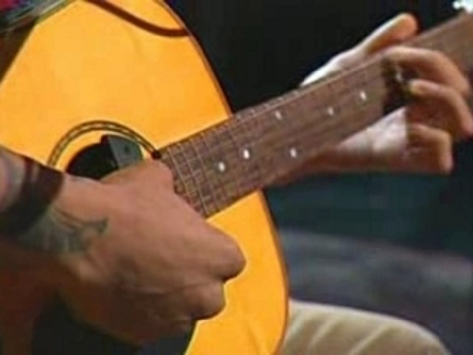 Jack Johnson & Ben Harper- Please Me Like You Want To