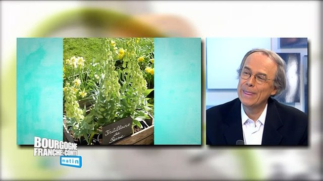 Foire aux plantes rares au château de Pierre-de-Bresse