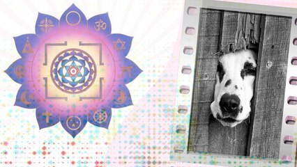 TheSpottydogg Method: Meditation for Beginners