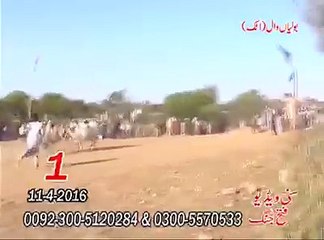 T.A.M.A.S.H.A پہلا نمبر - بولیاں وال اٹک