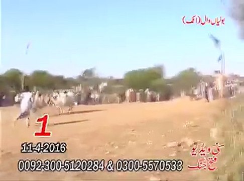 T.A.M.A.S.H.A پہلا نمبر - بولیاں وال اٹک