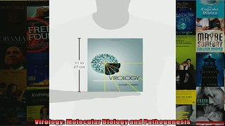 READ book  Virology Molecular Biology and Pathogenesis  DOWNLOAD ONLINE