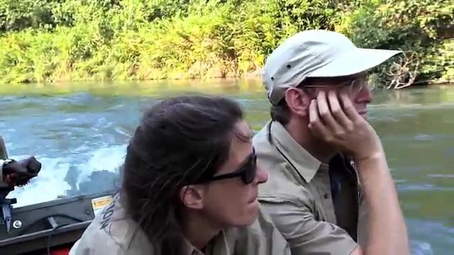 Man reunites with gorilla he raised for 5 years. How they reacted when they saw each other was priceless!