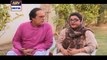Bulbulay Episode 380 on Ary Digital in High Quality 12th April 2016