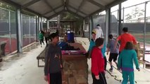Spring Tennis Academy and The Woodlands Beginner Tennis tournament players