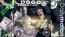 Taraxias & Destro - Dogo Argentino