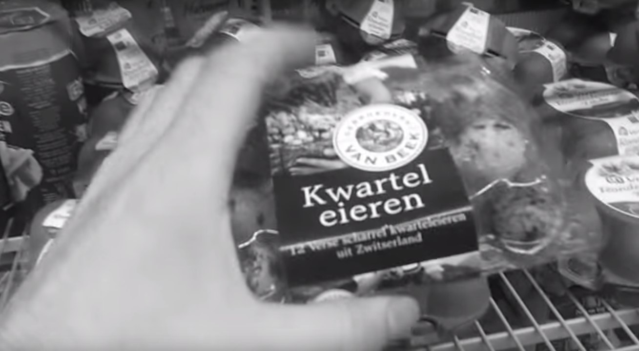 Quail Born From Supermarket Egg