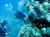 Dream Diving Red Sea Hurghada