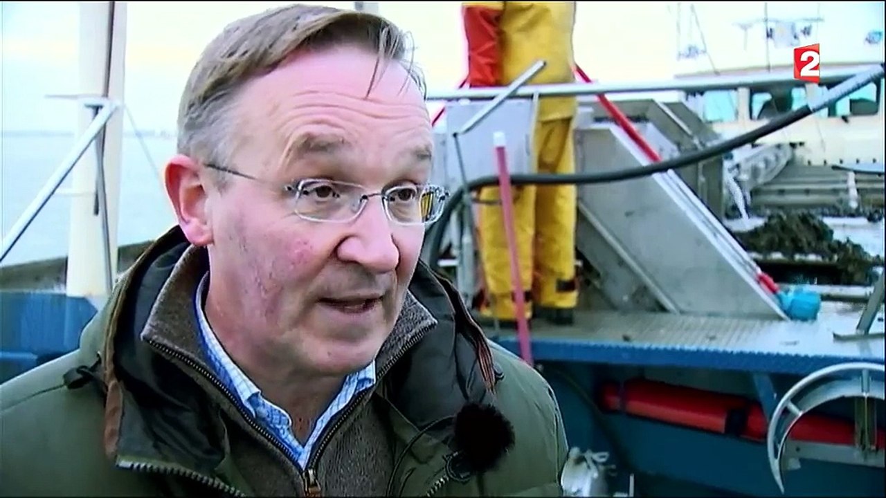 Moules frites : les subtilités de la fameuse recette