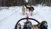 Dog Sledding in Kivalot, Finnish Lapland