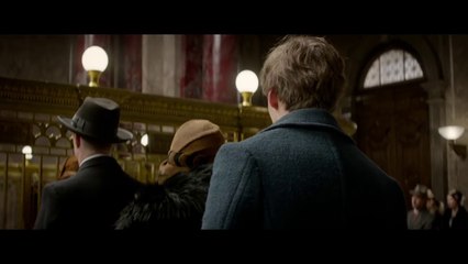 Fantastic Beasts and Where to Find Them - Teaser Trailer [HD] 8/7/2016
